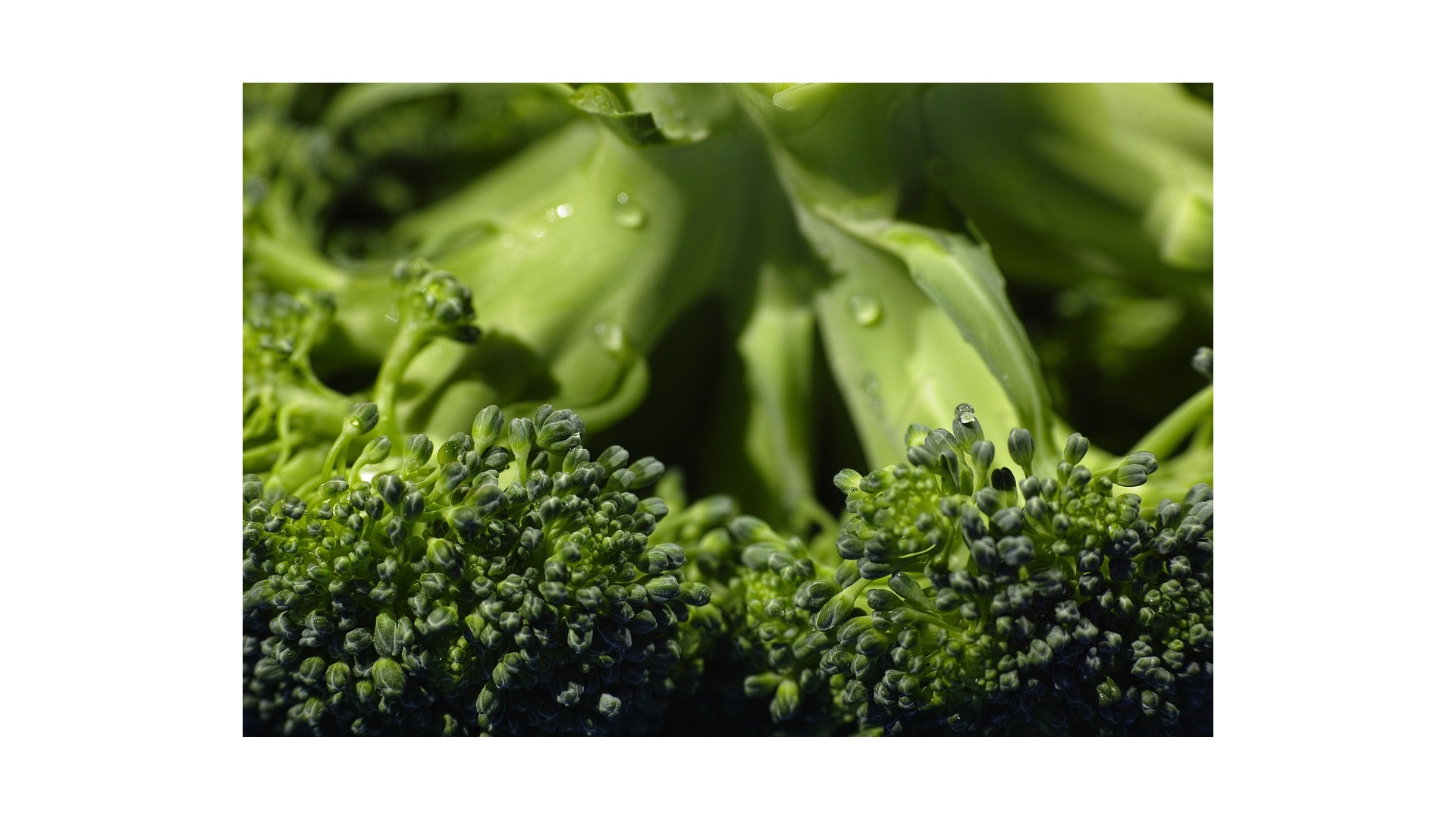 sformato-broccoli-carote