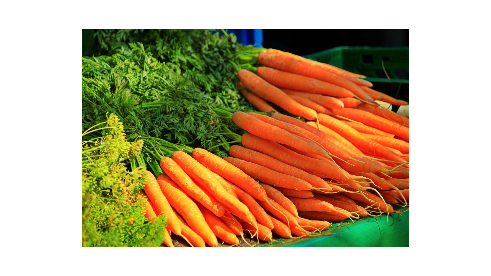 Verdure-alla-Julienne-quali-scegliere-e-come-tagliarle